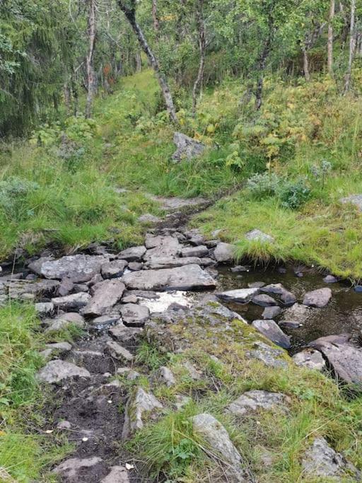 Na Er Vinteren Kommet Til Hallingdal Ål Exterior foto