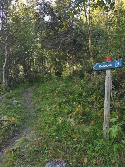 Na Er Vinteren Kommet Til Hallingdal Ål Exterior foto