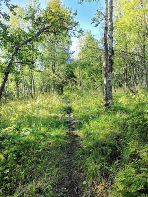 Na Er Vinteren Kommet Til Hallingdal Ål Exterior foto