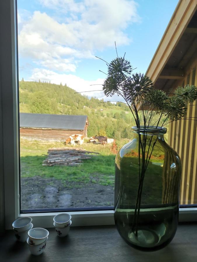Na Er Vinteren Kommet Til Hallingdal Ål Exterior foto